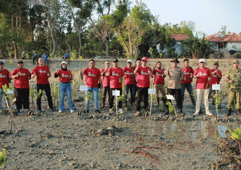 JMSI Sumenep tanam 1.500 pohon mangrove di Pantai Matahari (Foto: NOLESA.COM)