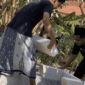 Tekan Persoalan Sampah, KKN Posko 43 Bangun Rocket Stove di PP Mis Annibros I (for NOLESA.COM)
