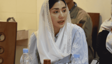 Anggota Komisi VII DPR RI Fraksi PDIP, Novita Hardini (Foto: Istimewa)