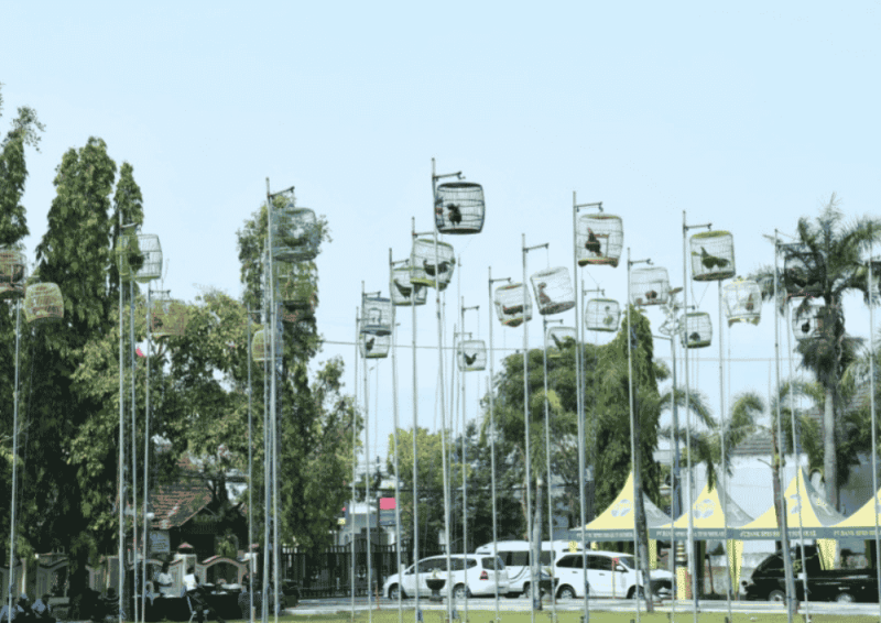 Lomba Seni Suara Ayam Bekisar 2026 di Halaman Kantor Bupati Sumenep (Foto: Istimewa)